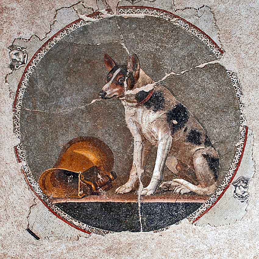 I век. Мозаика из вестибюля Александрийской библиотеки. Найдена при раскопках в 1993 году.